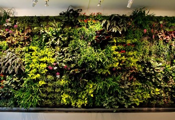 вертикальный сад из разных растений