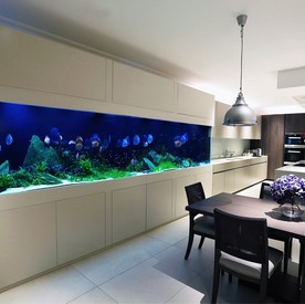 Морской аквариум в гостиной