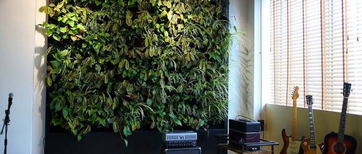 зеленая стена растительная